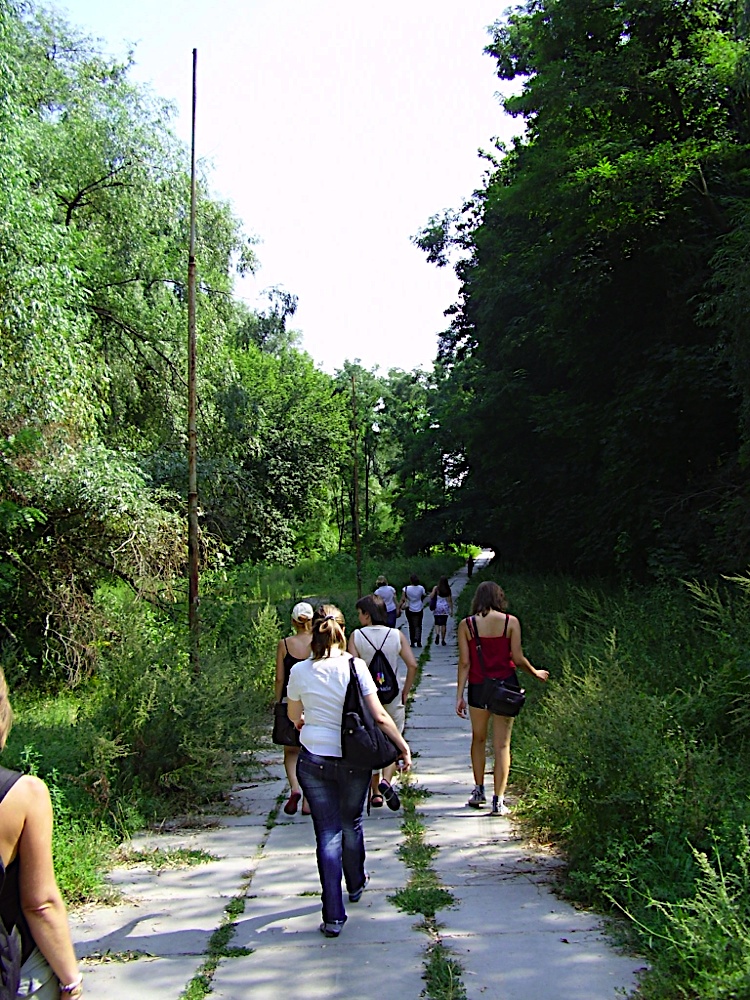 P8140023.JPG