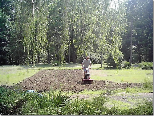 Dad Working In The Garden