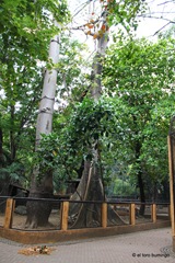 [IMG_3495%255B3%255D.jpg]