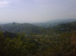 IMG00671-20100130-1202.jpg