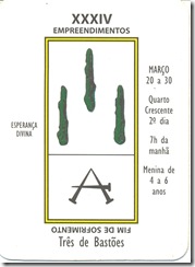 34 taro 34 taro