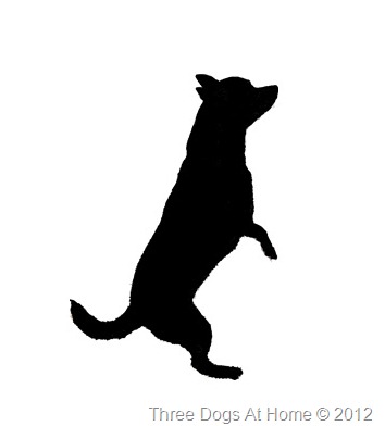 [zoey-silhouette_edited-18.jpg]