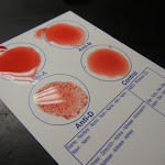 DSCN5530.JPG