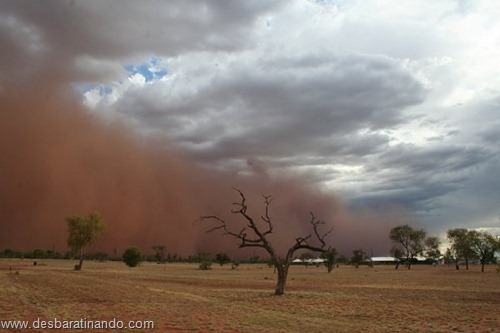 tempestade de areia desbaratinando  (11)