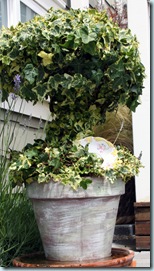 Topiary5