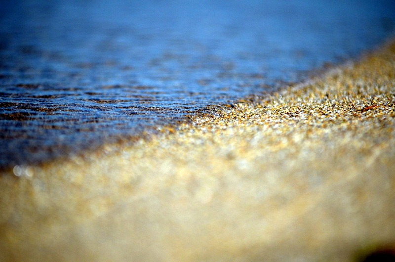 [DSC_3551%255B5%255D.jpg]