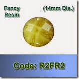 R2FR2 copy