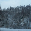 07.jpg