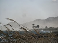 IMG_8892 IMG_8892
