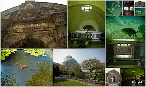 2011-09-02 Belle Isle Aquarium.jpg