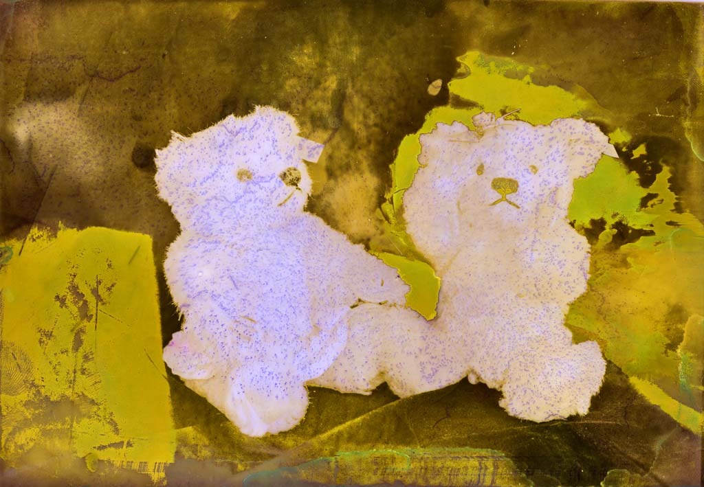 [Split-Toned-Prints---Bears-2-F%255B3%255D.jpg]
