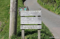 IMG_6041.JPG Photo