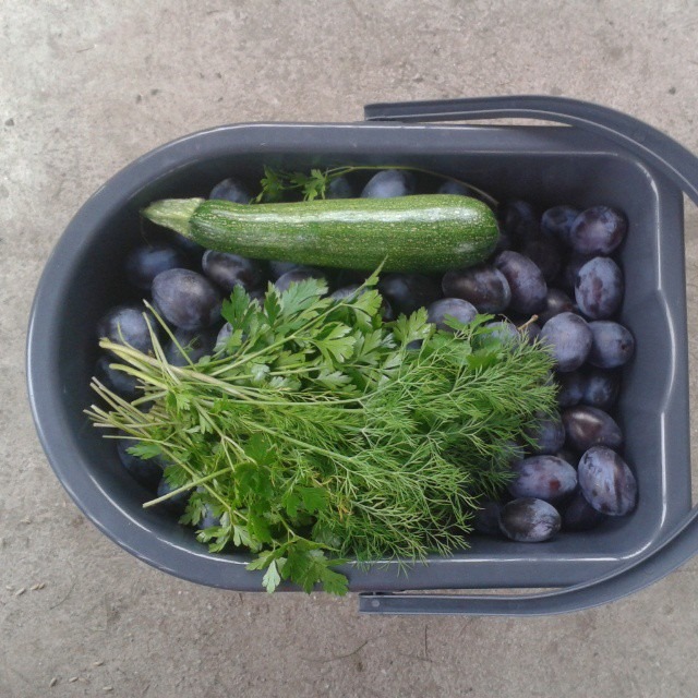 [10654996_312789588893615_833061698_n%255B4%255D.jpg]