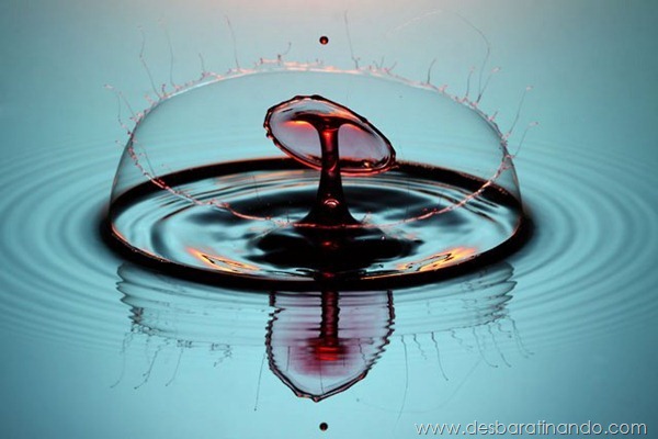 liquid-drop-art-gotas-caindo-foto-velocidade-hora-certa-desbaratinando (131) liquid-drop-art-gotas-caindo-foto-velocidade-hora-certa-desbaratinando (131)