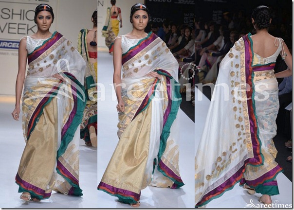 Agnimitra_Paul_Half_And_Half_Saree