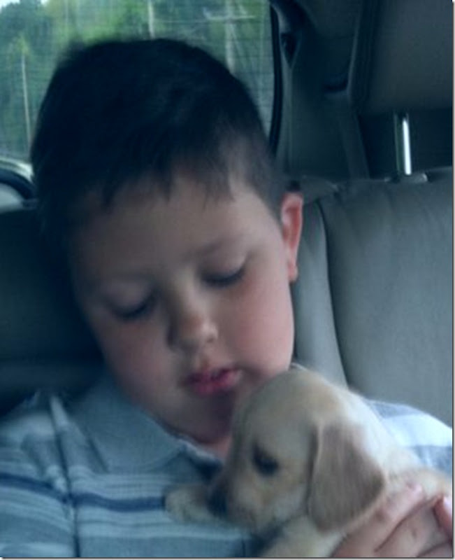 austin and max austin and max