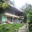 P1020206.jpg