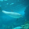 Disney 2005 138.jpg