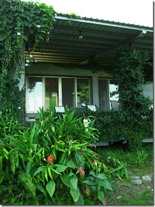 R0028491