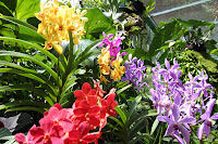IMG_4132.JPG