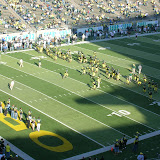 ducks 093.jpg