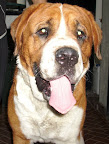 WANDA