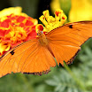 IMG_8344 E.jpg