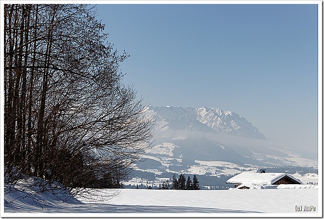 IMG_2081_DxO IMG_2081_DxO