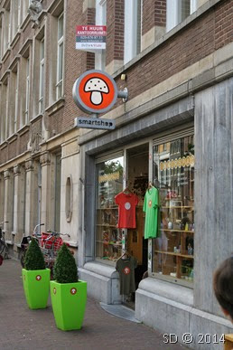 IMG_7286 IMG_7286