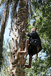Tozeur Tunisia_2009.04.10 609.JPG