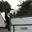 Tannenbaumaktion 08_755.jpg