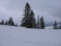 IMG_3300.JPG