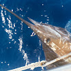 My Pictures0002.jpg
