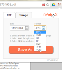 เปลี่ยน url ให้เป็น pdf หรือ ภาพ