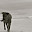 DSC_0277.jpg