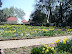 Mt Vernon in Spring