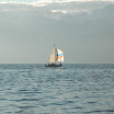 AIG_5949.JPG