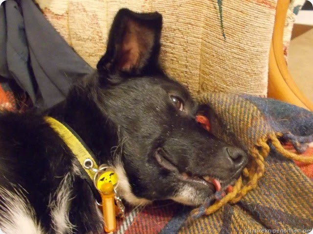 and rest....! and rest....!