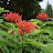DSC_0338_01.JPG