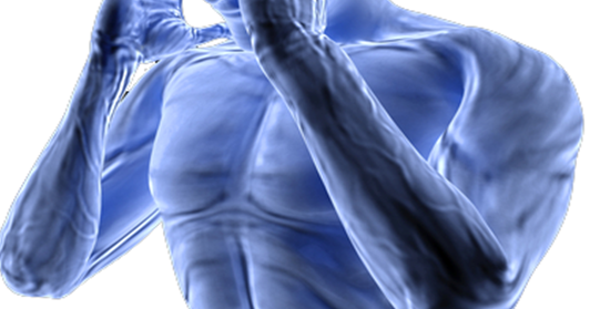Best supplements for concentration and memory picture 2