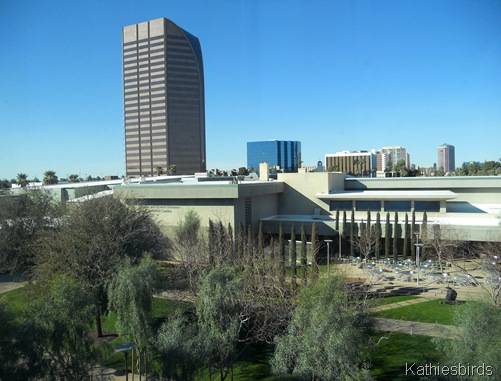 11. Phoenix skyline-kab