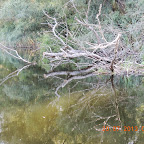 DSCN4497.JPG
