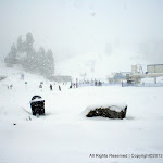 IMG_7923.JPG