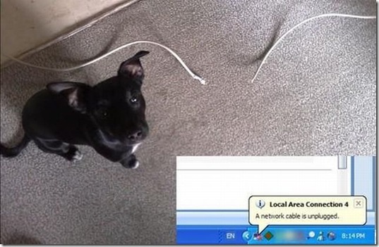 viral-picdump-pics-46