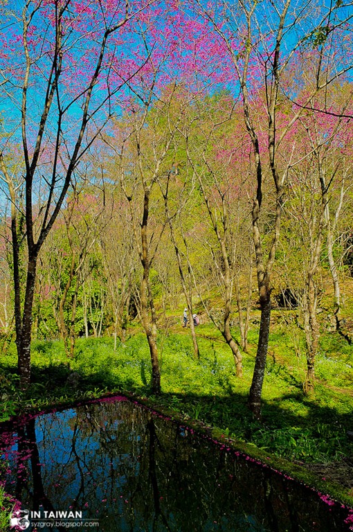 [DSC_9421%255B2%255D.jpg]