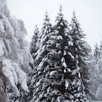 20091201 Allgaeu 1043 [640x480].JPG