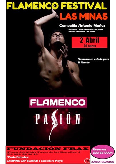 [flamenco%2520pasion%255B2%255D.jpg]