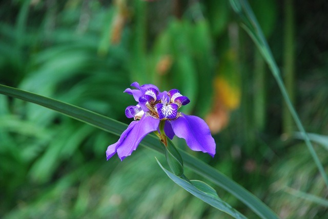[DSC_8119%255B3%255D%255B6%255D.jpg]
