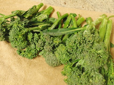 [Broccoli-Crunch-18.jpg]
