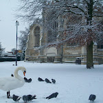 image13.jpg